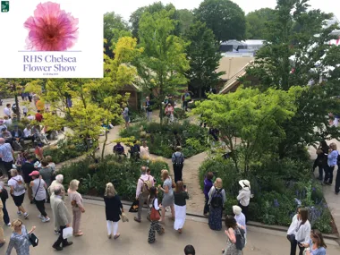 Award winning show gardens at RHS Chelsea Flower Show with Vande Moortel clay pavers