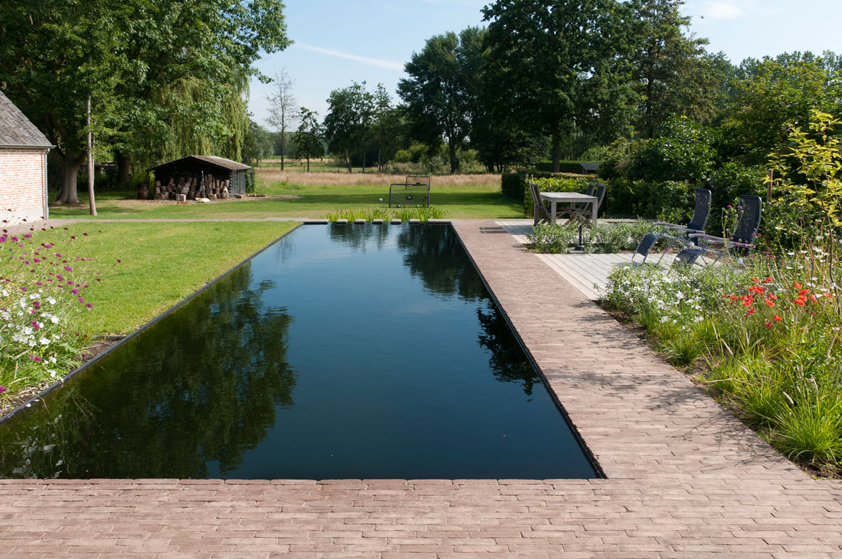 Spacious landscaped garden with natural swimming pool bordered by brown clay pavers