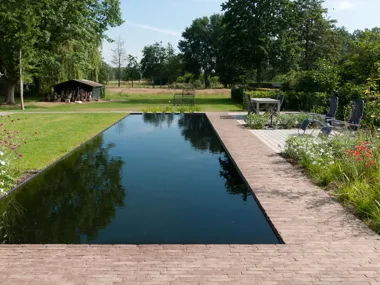 Spacious landscaped garden with natural swimming pool bordered by brown clay pavers