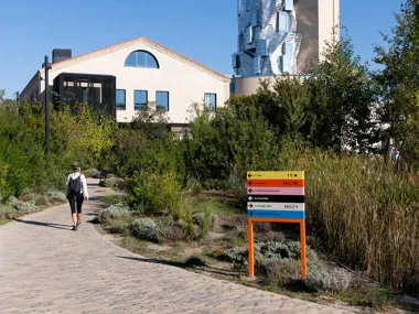 LUMA ARLES: the installation of an new mediterranean eco-system on an industrial wasteland