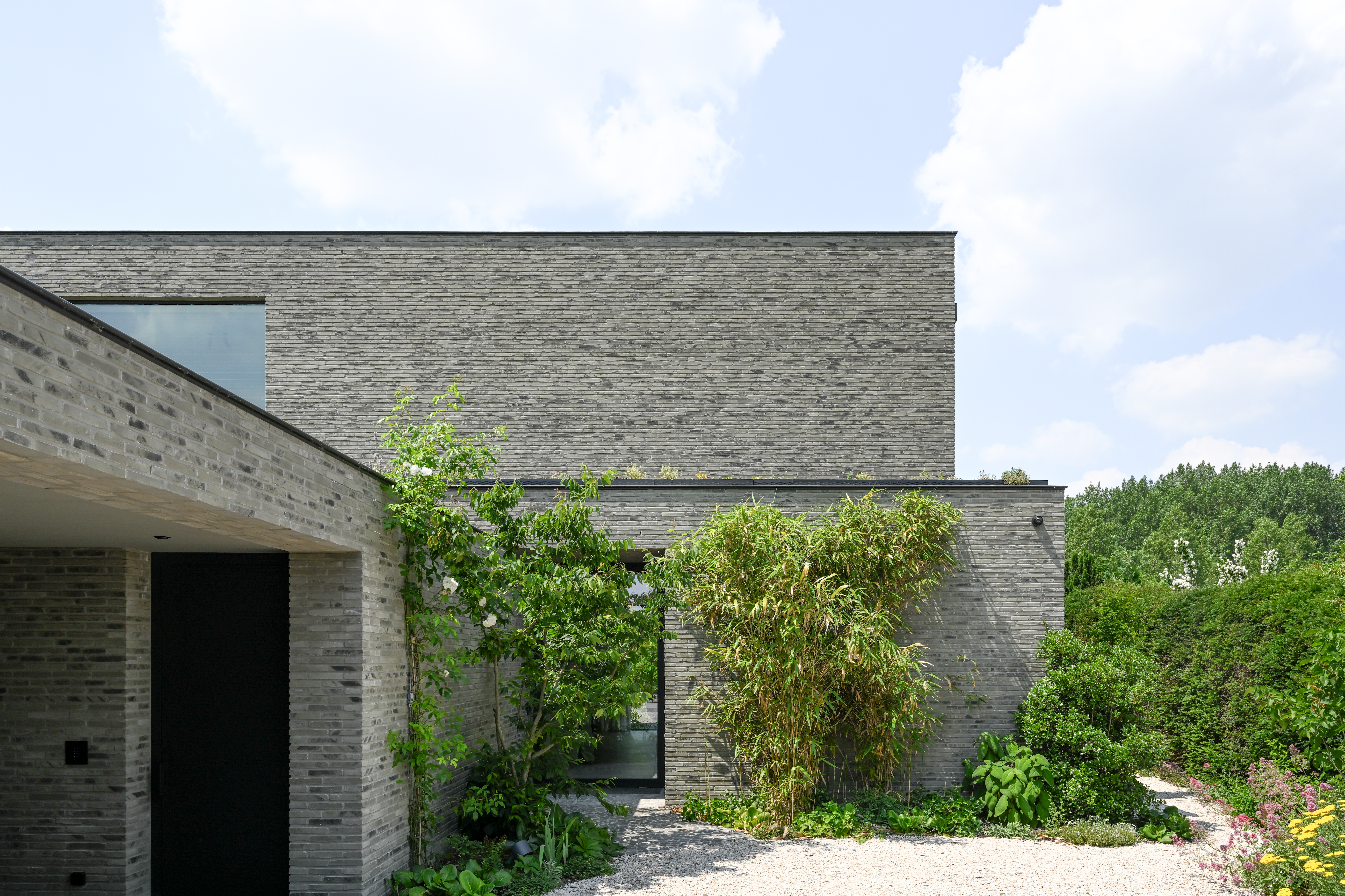 Symbiosis of architecture and nature: a home as a living landscape